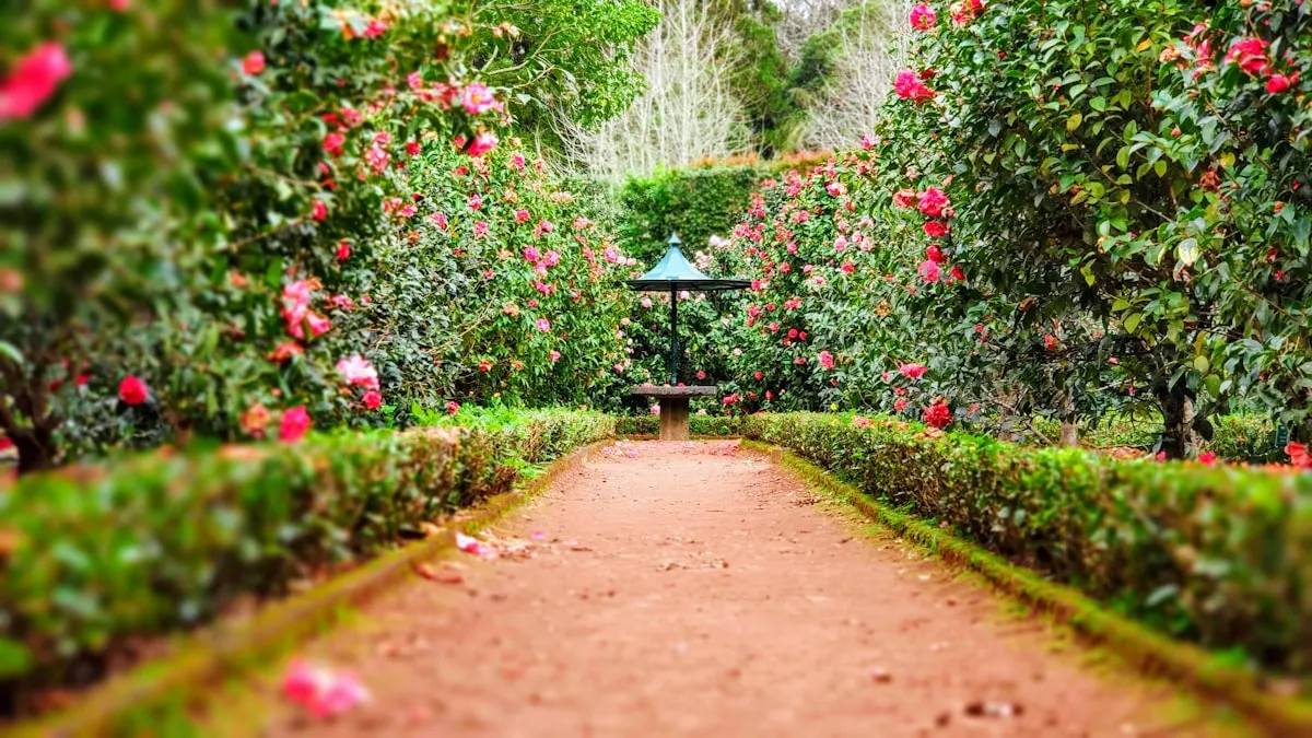 Landscape Designer PAN India